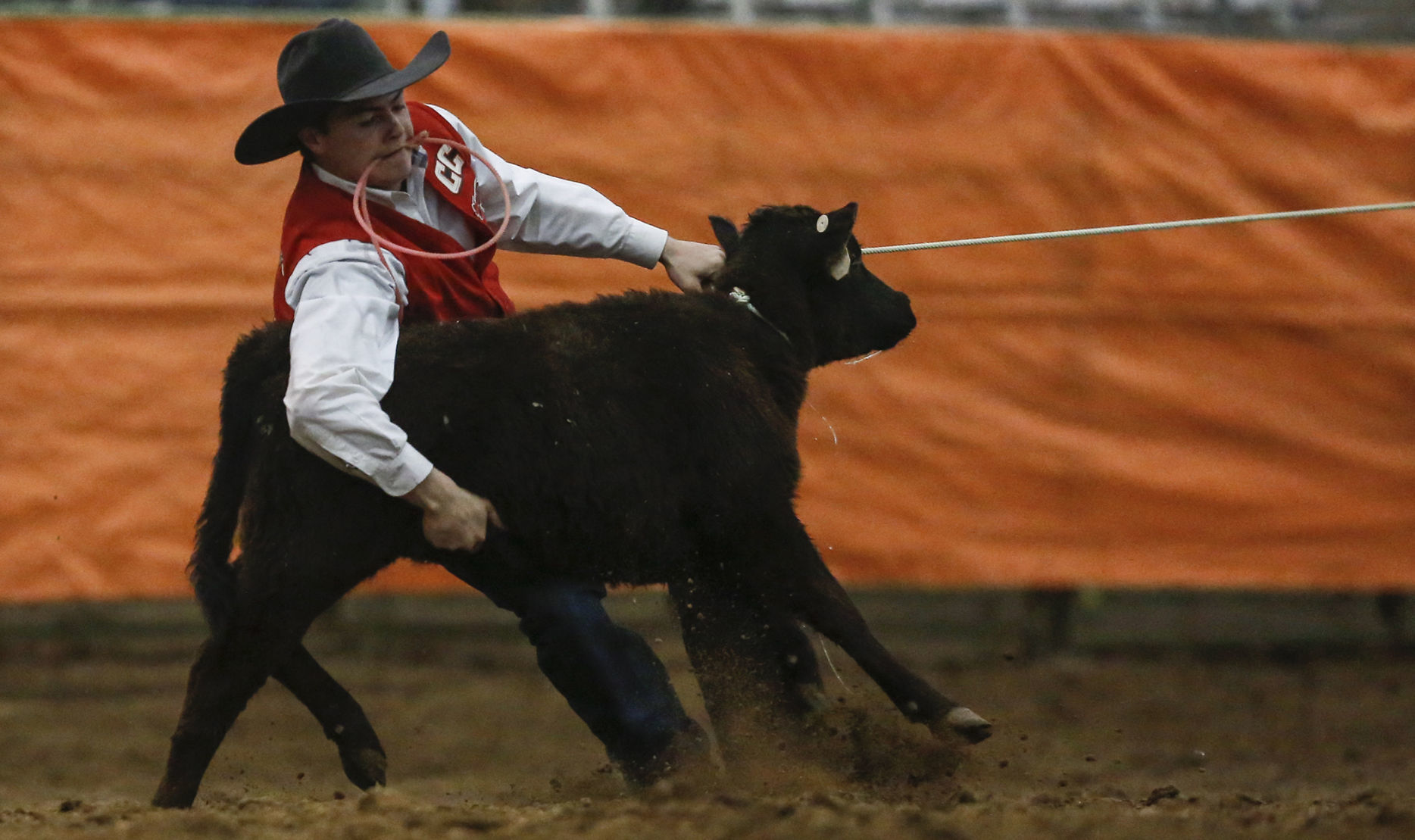 Ropin' and Riggin' Days